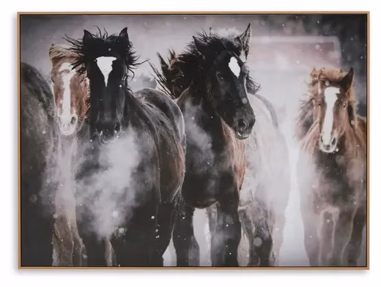 A8000380-HEAD-ON-SW-P1-KO Chaseburn Wall Art - Image 1